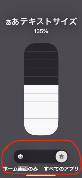 視覚障害者向けのiPhoneの設定 文字の大きさと太さ編 コントロールセンター 画像6